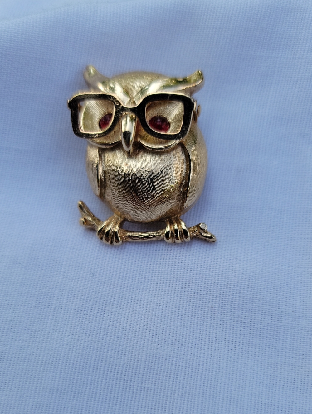 Vintage Sarah Coventry Owl Brooch with Glasses and Ruby Eyes